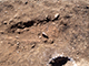 FileNo.185-028.jpg