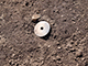 FileNo.185-032.jpg