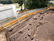 FileNo.185-036.jpg