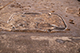 FileNo.185-039.jpg