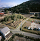 FileNo.185-059.jpg