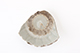 FileNo.185-081.jpg