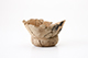 FileNo.185-082.jpg