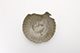 FileNo.185-092.jpg