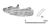 図版 185-J080.png