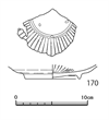 図版 185-J170.png