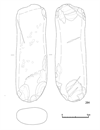 図版 185-J284.png