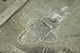FileNo.186-006.jpg