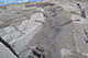 FileNo.186-027.jpg