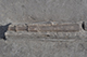 FileNo.186-032.jpg
