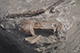 FileNo.186-033.jpg
