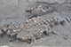 FileNo.186-039.jpg