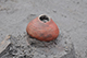 FileNo.186-040.jpg