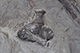 FileNo.186-047.jpg
