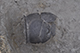 FileNo.186-049.jpg