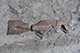 FileNo.186-050.jpg