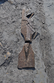 FileNo.186-051.jpg
