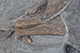 FileNo.186-052.jpg
