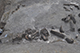 FileNo.186-058.jpg