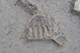 FileNo.186-059.jpg