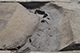 FileNo.186-061.jpg