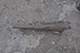 FileNo.186-072.jpg