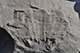 FileNo.186-079.jpg