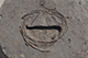 FileNo.186-080.jpg