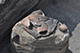 FileNo.186-082.jpg
