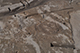 FileNo.186-086.jpg