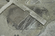 FileNo.186-087.jpg