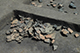 FileNo.186-090.jpg
