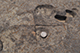 FileNo.186-100.jpg