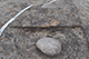 FileNo.186-101.jpg