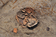 FileNo.186-103.jpg