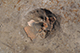 FileNo.186-104.jpg