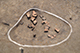 FileNo.186-106.jpg