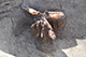 FileNo.186-110.jpg