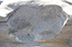 FileNo.186-112.jpg