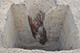 FileNo.186-114.jpg