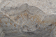 FileNo.186-117.jpg
