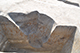 FileNo.186-118.jpg