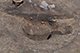 FileNo.186-119.jpg