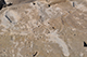 FileNo.186-128.jpg