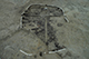 FileNo.186-132.jpg