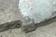 FileNo.186-133.jpg