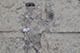 FileNo.186-137.jpg