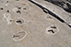 FileNo.186-141.jpg