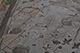 FileNo.186-162.jpg