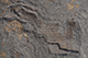 FileNo.186-190.jpg